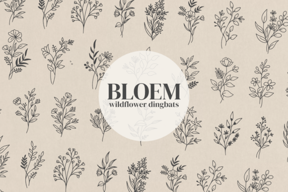 Bringing Nature to the Page: A Guide to the Bloem Wildflower Font